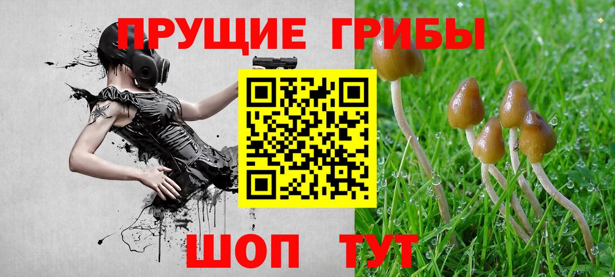 Галлюциногенные грибы мухоморы Шелехов