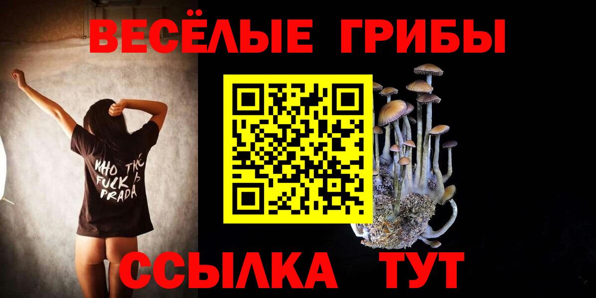 Псилоцибиновые грибы Magic Shrooms  Вход с VPN  Шелехов 